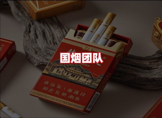 国烟团队